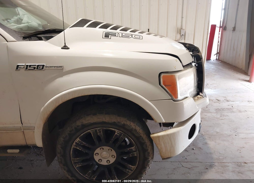 2009 FORD F-150 VIN: 1FTPW14V59FA77689