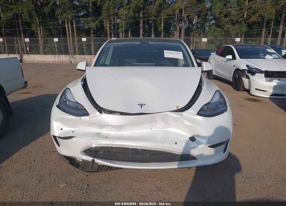 2022 TESLA MODEL Y VIN: 7SAYGDEEXNF361564