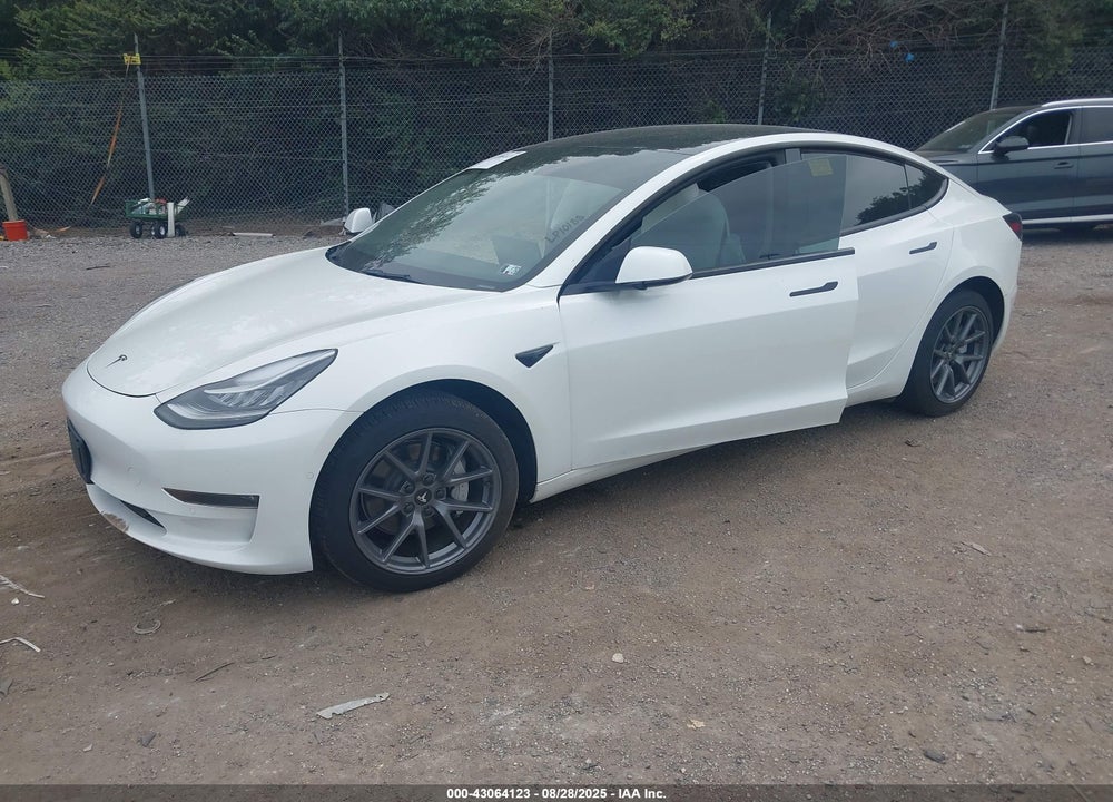 2022 TESLA MODEL 3 VIN: 5YJ3E1EBXNF260784