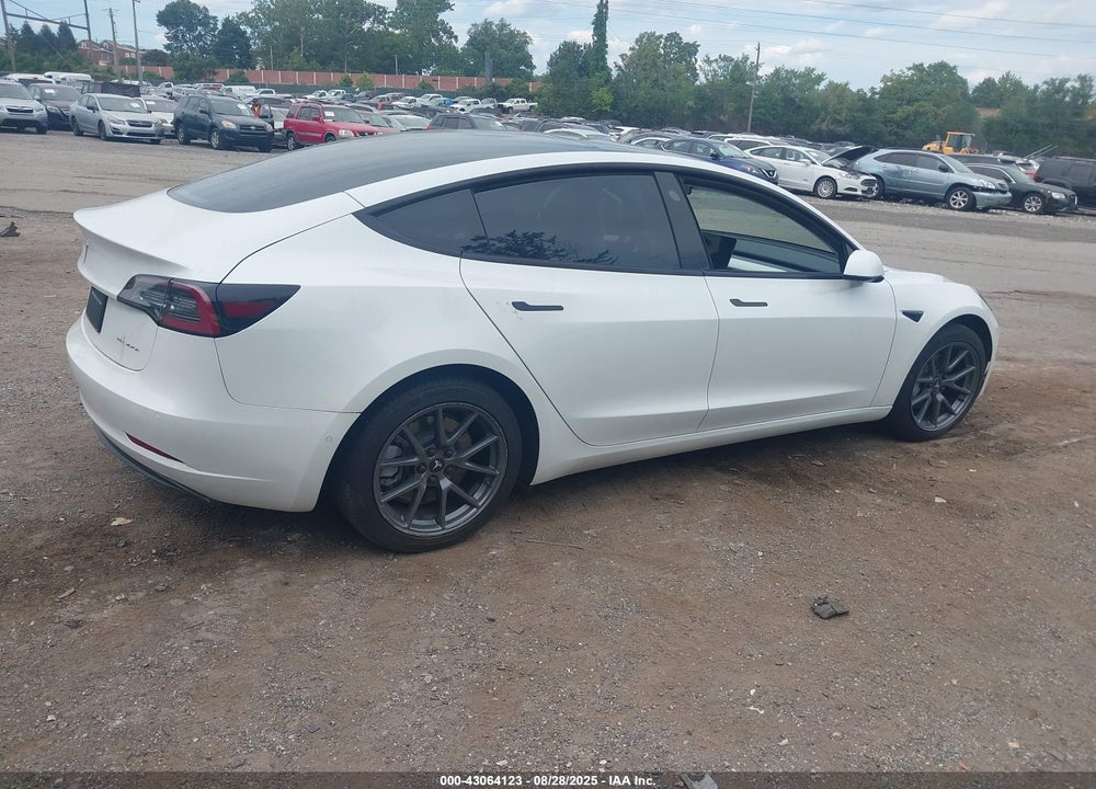 2022 TESLA MODEL 3 VIN: 5YJ3E1EBXNF260784