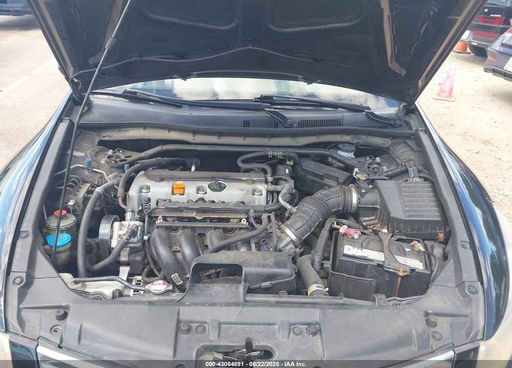 2010 HONDA ACCORD VIN: 1HGCP2F88AA047890