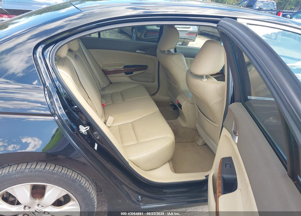 2010 HONDA ACCORD VIN: 1HGCP2F88AA047890