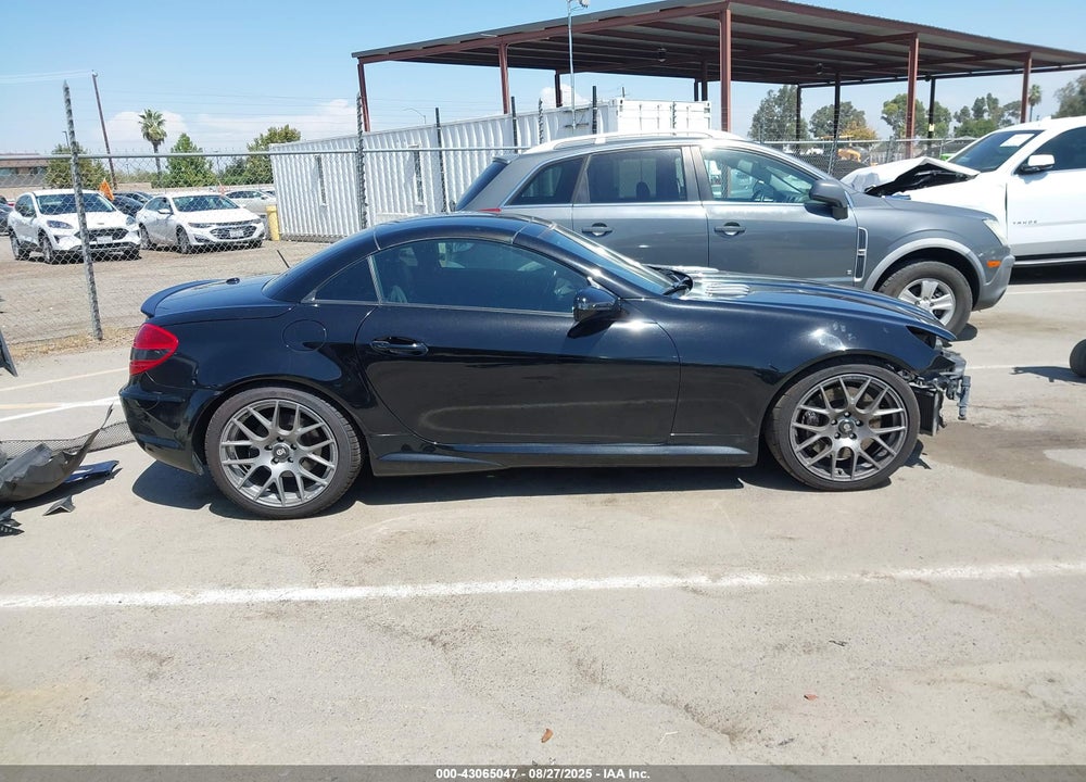 2009 MERCEDES-BENZ SLK-CLASS VIN: WDBWK73F39F192889
