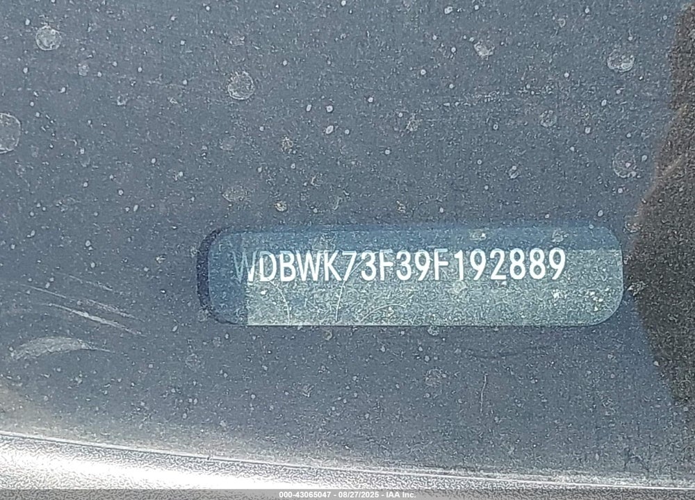 2009 MERCEDES-BENZ SLK-CLASS VIN: WDBWK73F39F192889