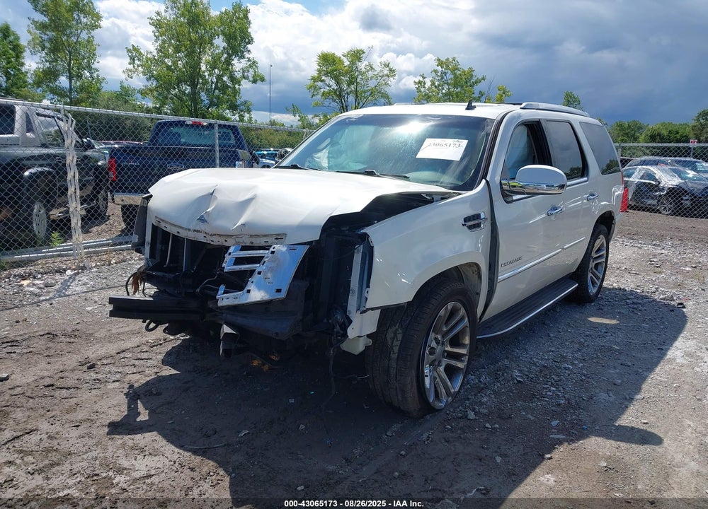 2011 CADILLAC ESCALADE VIN: 1GYS3AEF2BR305494