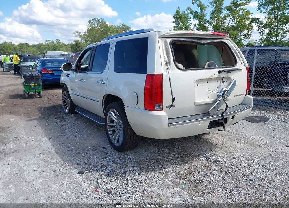 2011 CADILLAC ESCALADE VIN: 1GYS3AEF2BR305494