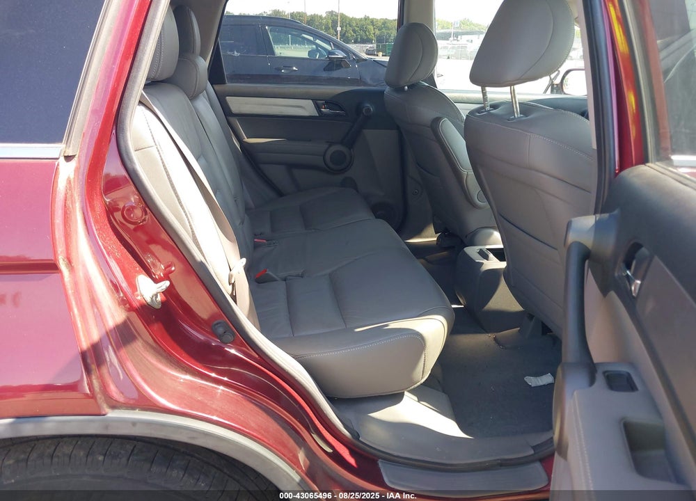2010 HONDA CR-V VIN: 5J6RE4H7XAL098837