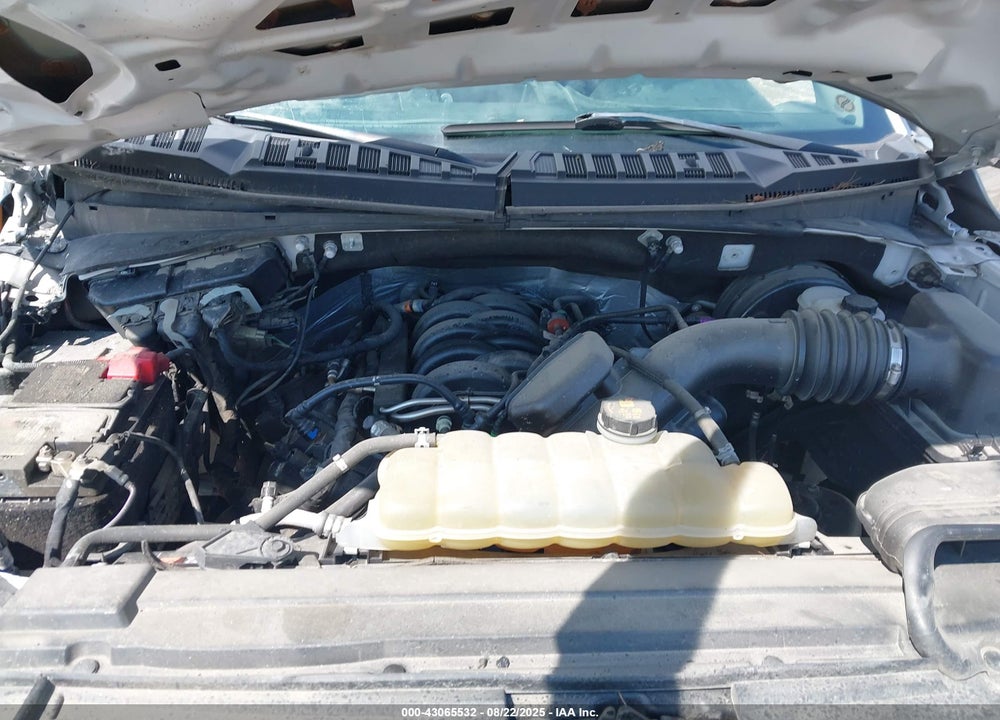 2020 FORD F-150 VIN: 1FTMF1C50LFA73965
