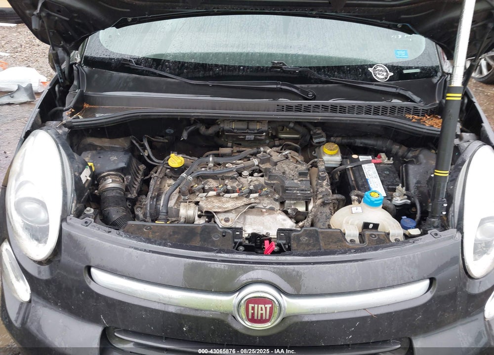 2014 FIAT 500L VIN: ZFBCFADH7EZ029387