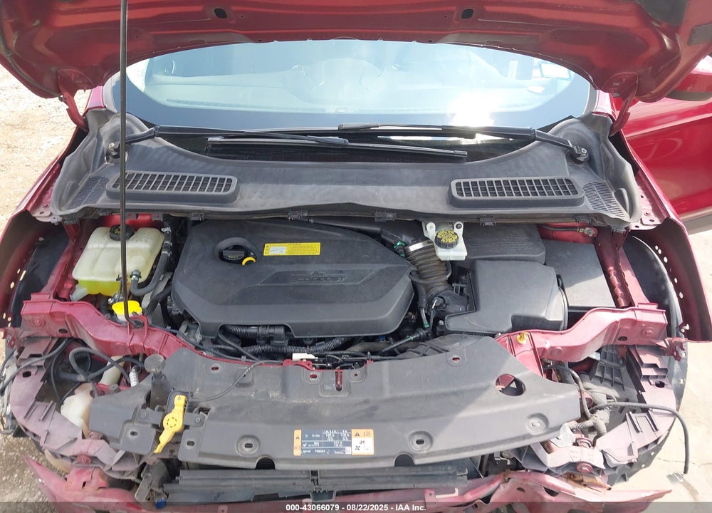 2014 FORD ESCAPE VIN: 1FMCU0GX5EUB97716