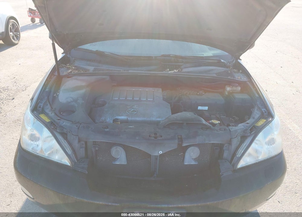 2007 LEXUS RX 350 VIN: 2T2HK31U37C019170