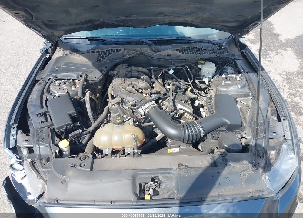 2015 FORD MUSTANG V6 VIN: 1FA6P8AM9F5338486