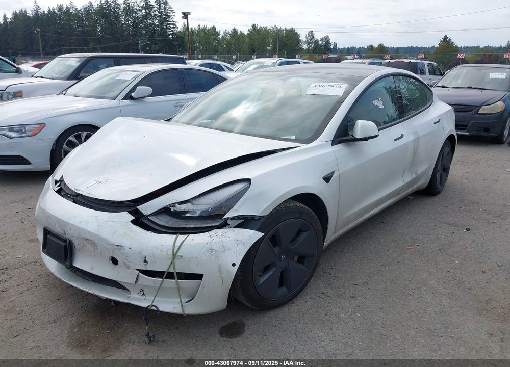 2021 TESLA MODEL 3 VIN: 5YJ3E1EA5MF051636