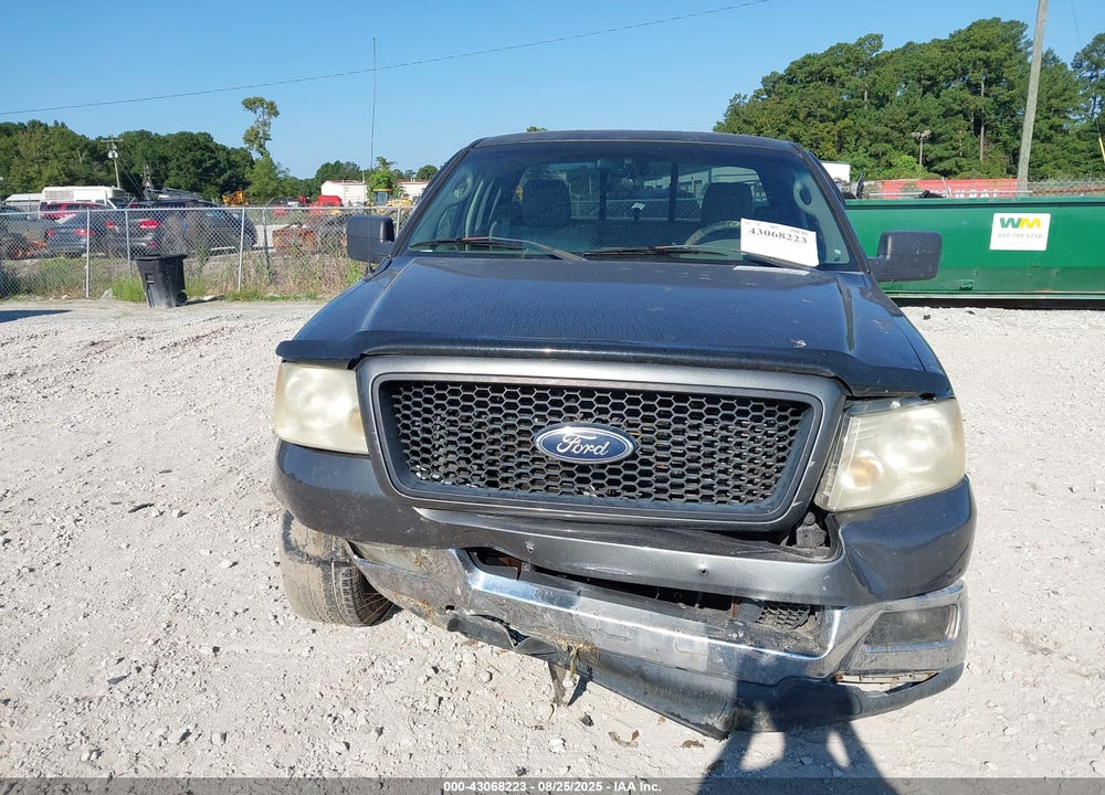 2004 FORD F-150 STX/XL/XLT VIN: 1FTRF12W34NC41704