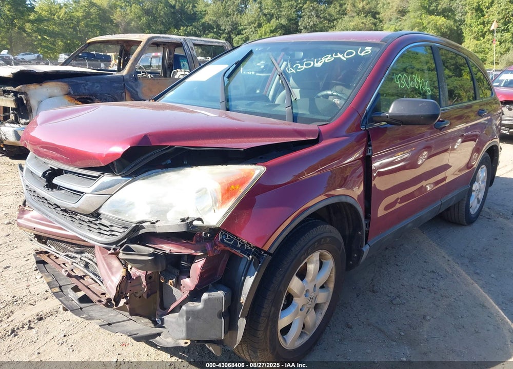 2011 HONDA CR-V SE VIN: 5J6RE4H47BL077810