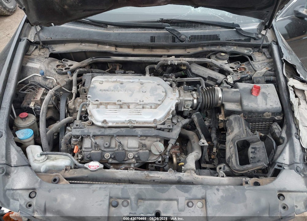 2009 HONDA ACCORD VIN: 5KBCP36819B002816