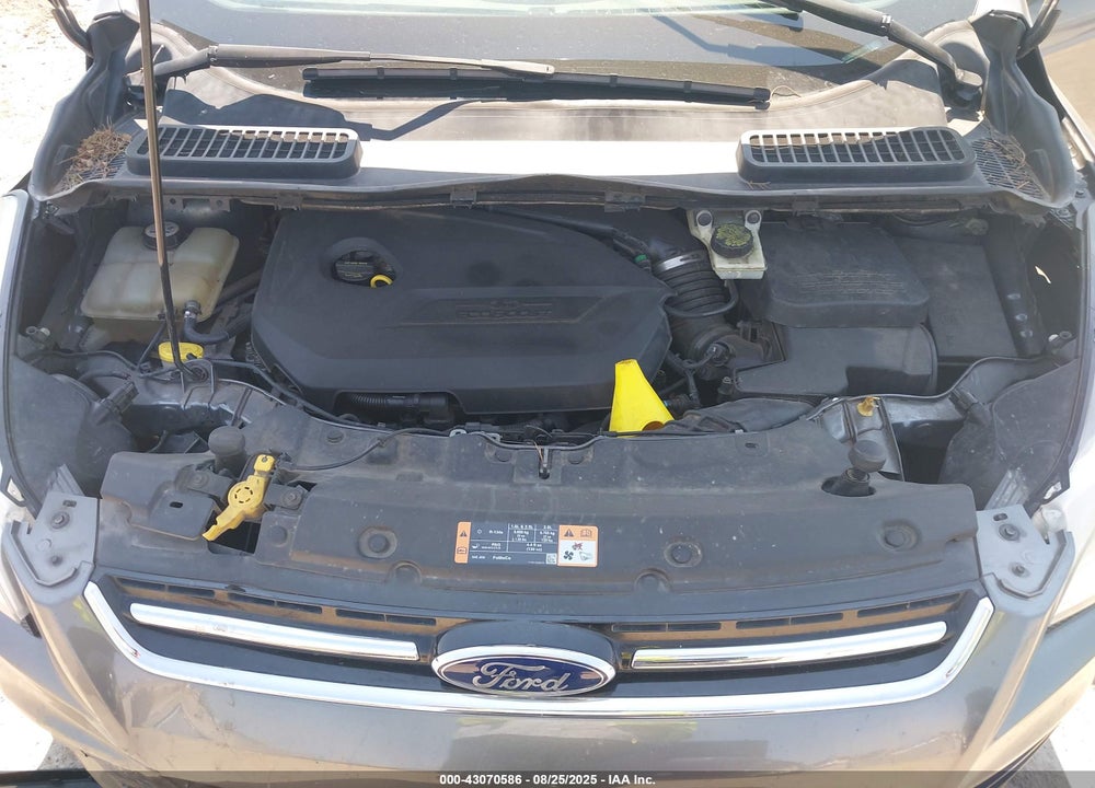 2014 FORD ESCAPE VIN: 1FMCU0JX4EUE11488