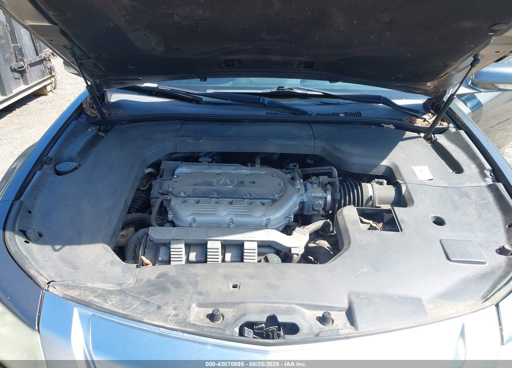 2009 ACURA TL VIN: 19UUA86209A010378