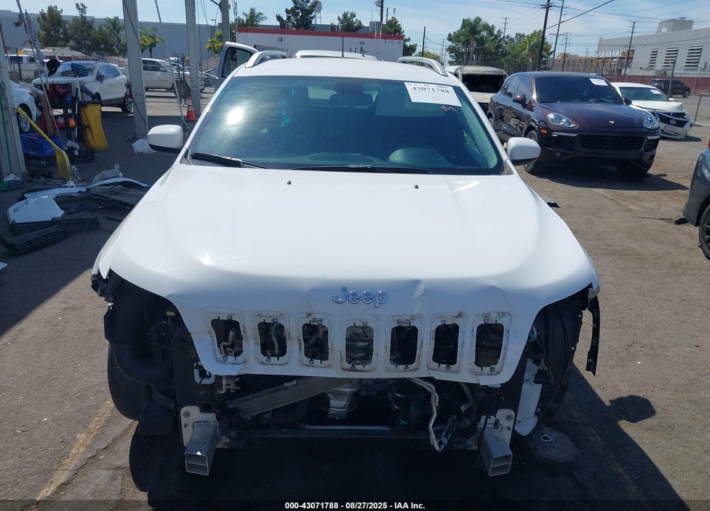2019 JEEP CHEROKEE VIN: 1C4PJLLN7KD151837