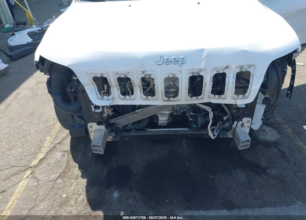 2019 JEEP CHEROKEE VIN: 1C4PJLLN7KD151837