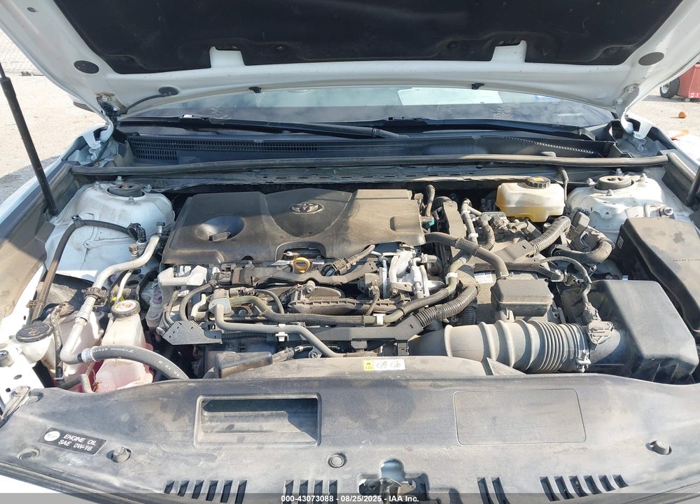 2020 TOYOTA CAMRY VIN: 4T1C31AK6LU528189