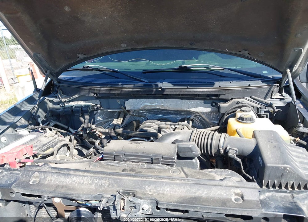 2013 FORD F-150 VIN: 1FTFX1EF0DFC70745