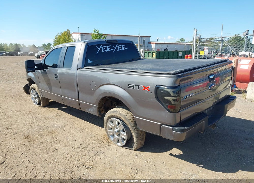 2013 FORD F-150 VIN: 1FTFX1EF0DFC70745