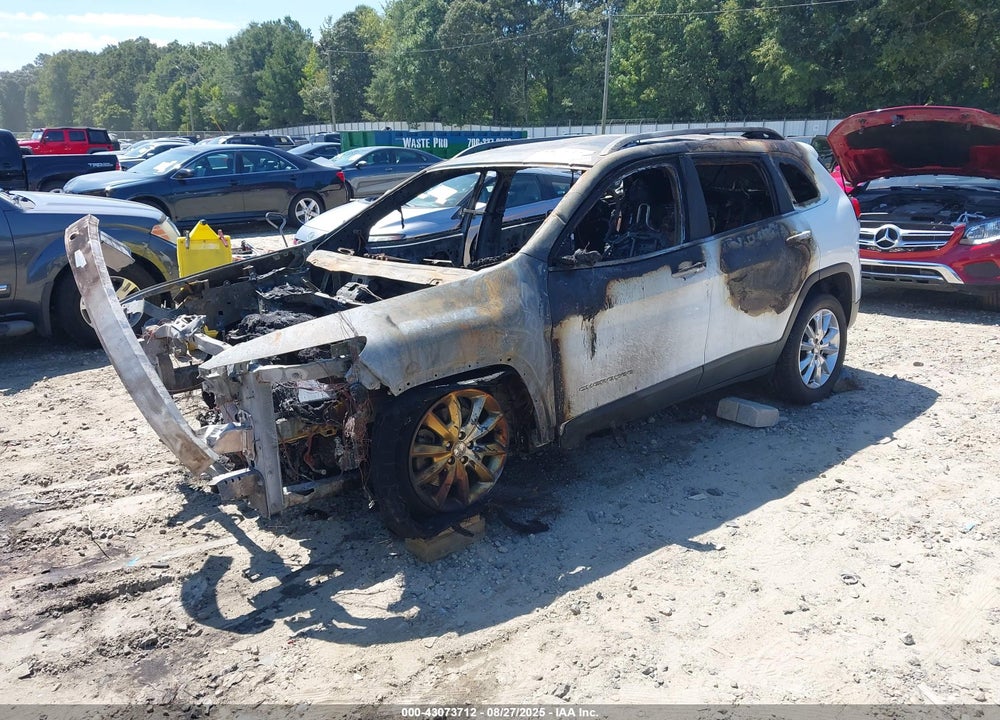 2016 JEEP CHEROKEE VIN: 1C4PJLDB2GW164687