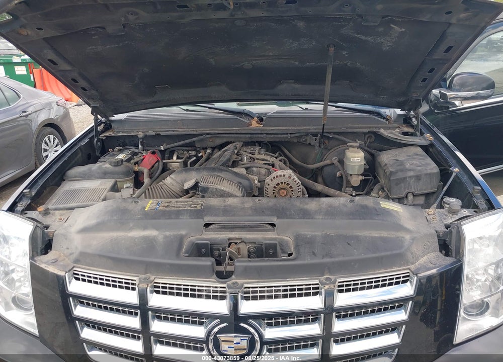 2010 CADILLAC ESCALADE VIN: 1GYUKBEF1AR289983