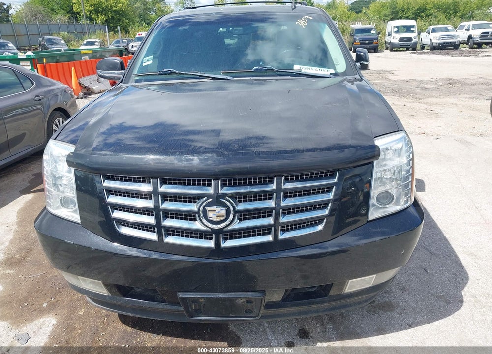 2010 CADILLAC ESCALADE VIN: 1GYUKBEF1AR289983