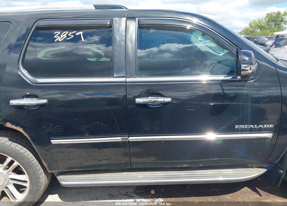 2010 CADILLAC ESCALADE VIN: 1GYUKBEF1AR289983