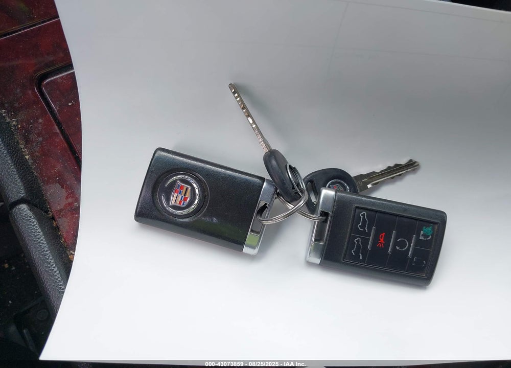 2010 CADILLAC ESCALADE VIN: 1GYUKBEF1AR289983