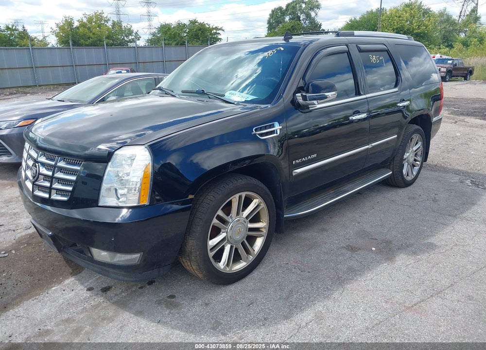 2010 CADILLAC ESCALADE VIN: 1GYUKBEF1AR289983