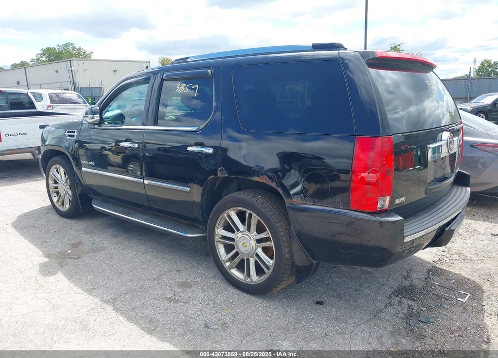 2010 CADILLAC ESCALADE VIN: 1GYUKBEF1AR289983