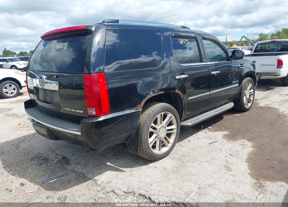 2010 CADILLAC ESCALADE VIN: 1GYUKBEF1AR289983