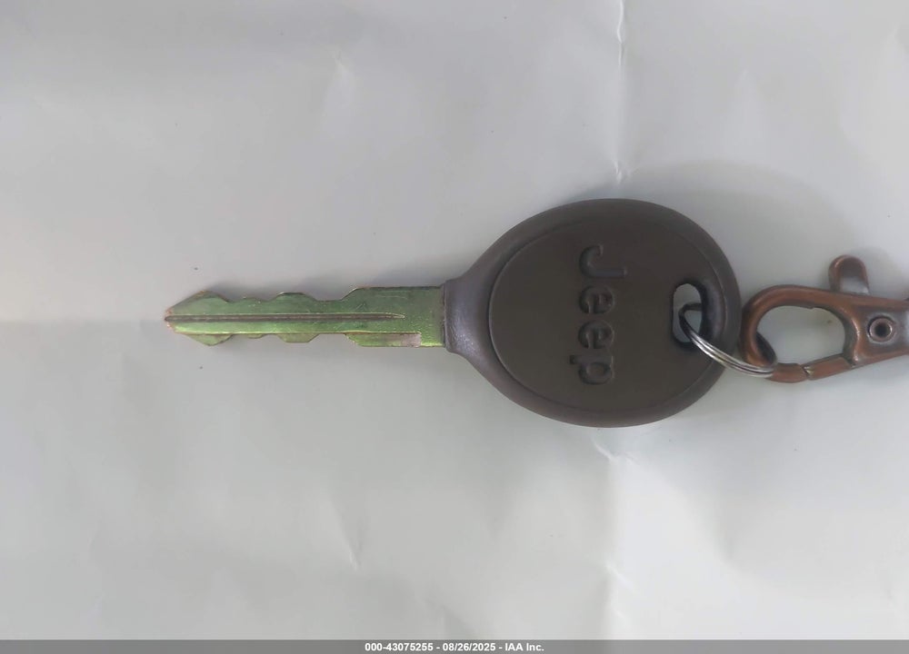 2002 JEEP LIBERTY LIMITED EDITION VIN: 1J8GL58K72W346273