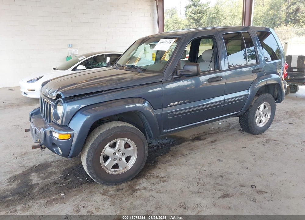 2002 JEEP LIBERTY LIMITED EDITION VIN: 1J8GL58K72W346273