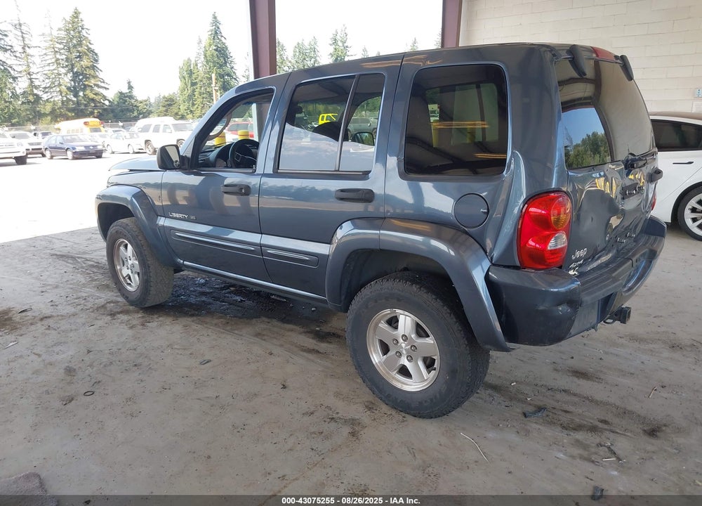 2002 JEEP LIBERTY LIMITED EDITION VIN: 1J8GL58K72W346273