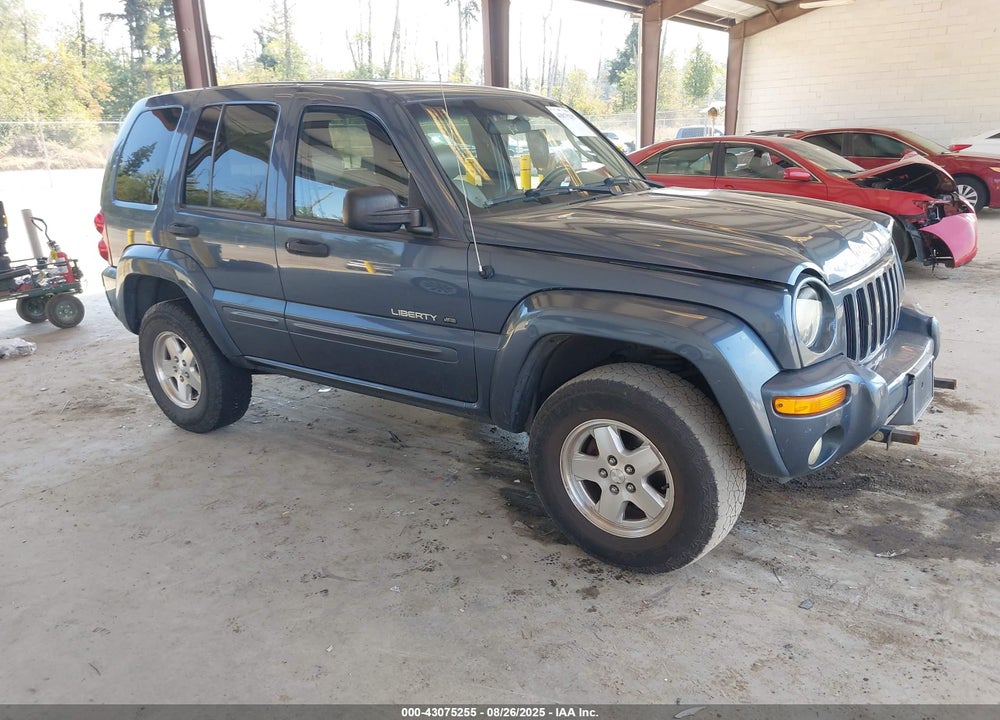 2002 JEEP LIBERTY LIMITED EDITION VIN: 1J8GL58K72W346273