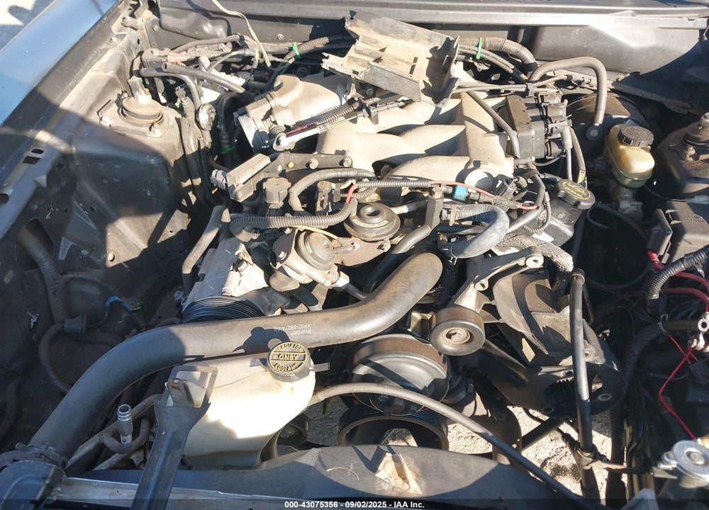 2000 FORD MUSTANG VIN: 1FAFP4446YF205167