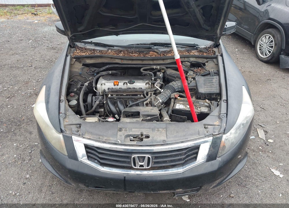 2010 HONDA ACCORD VIN: 1HGCP2F82AA028767