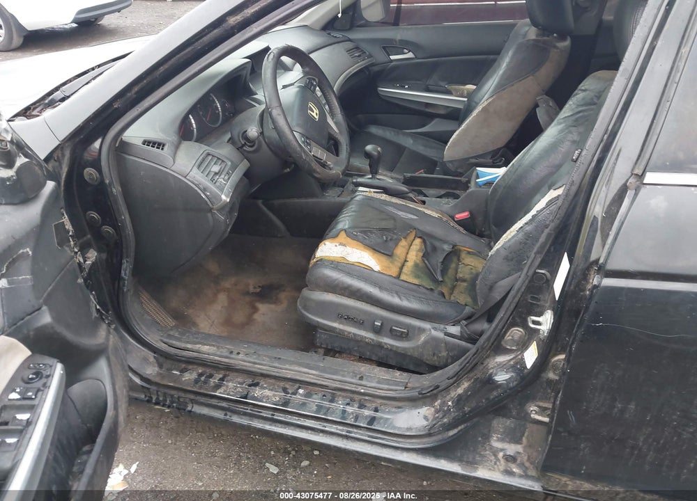 2010 HONDA ACCORD VIN: 1HGCP2F82AA028767