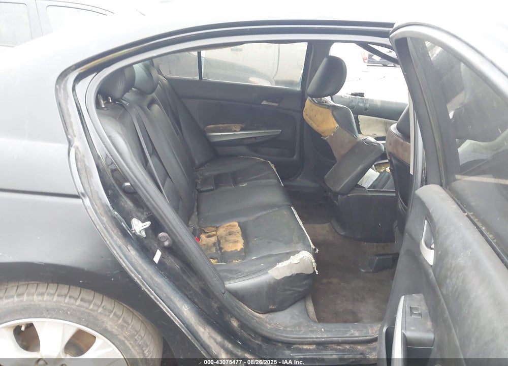2010 HONDA ACCORD VIN: 1HGCP2F82AA028767