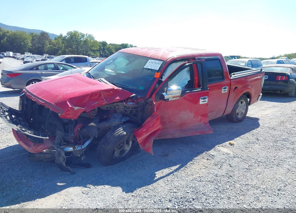 2010 FORD F-150 VIN: 1FTEW1C8XAFA69059