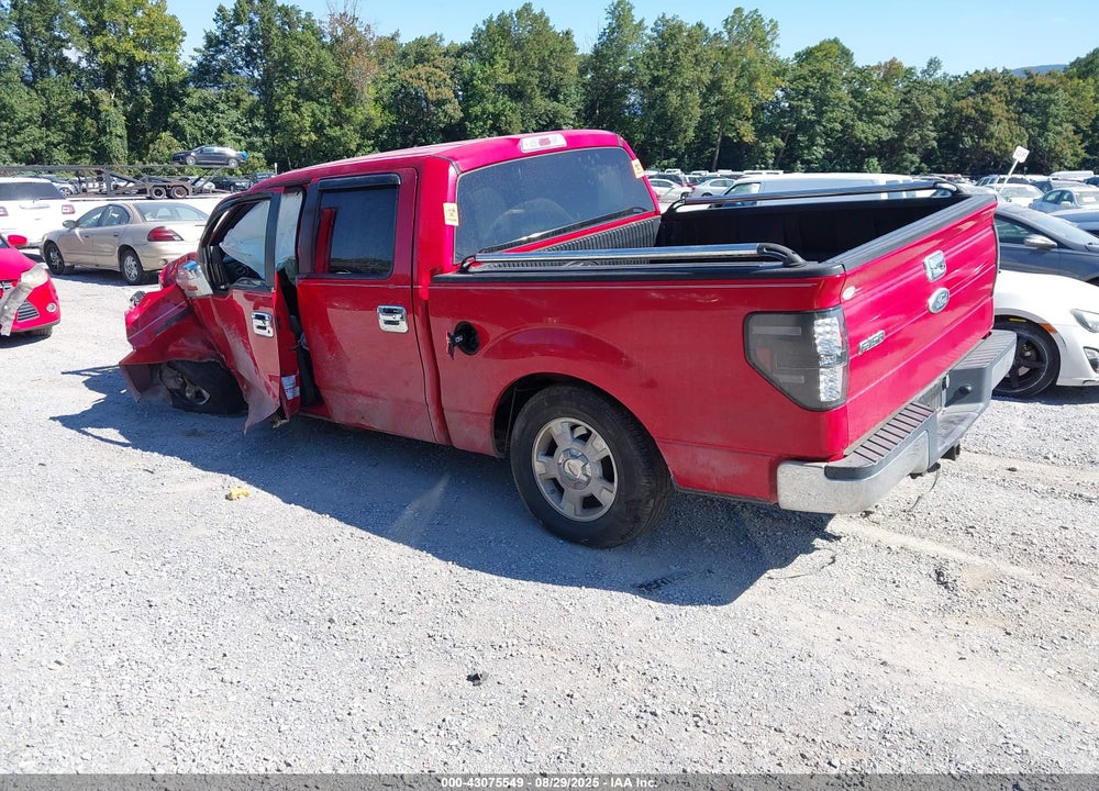 2010 FORD F-150 VIN: 1FTEW1C8XAFA69059