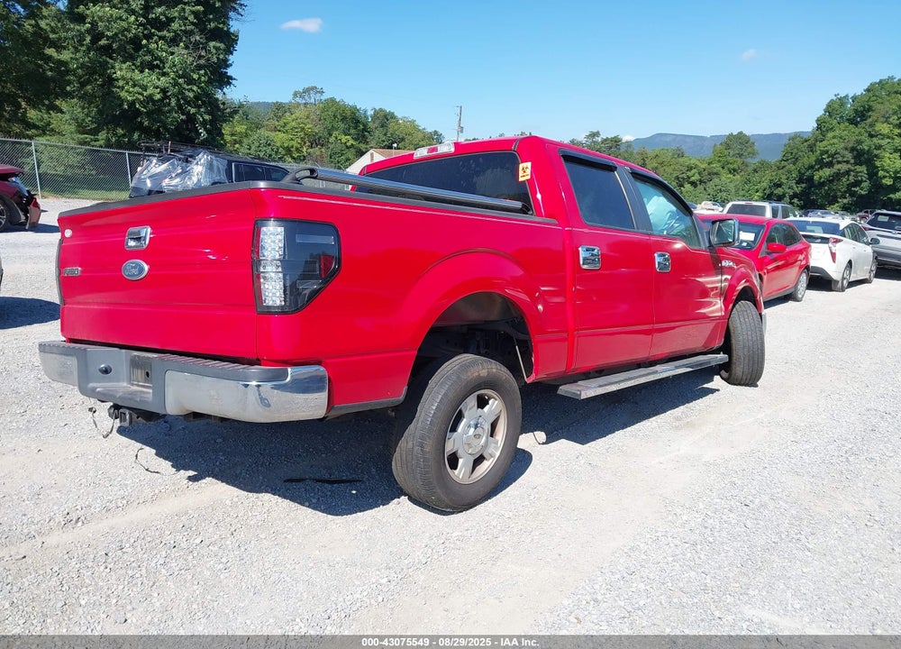 2010 FORD F-150 VIN: 1FTEW1C8XAFA69059