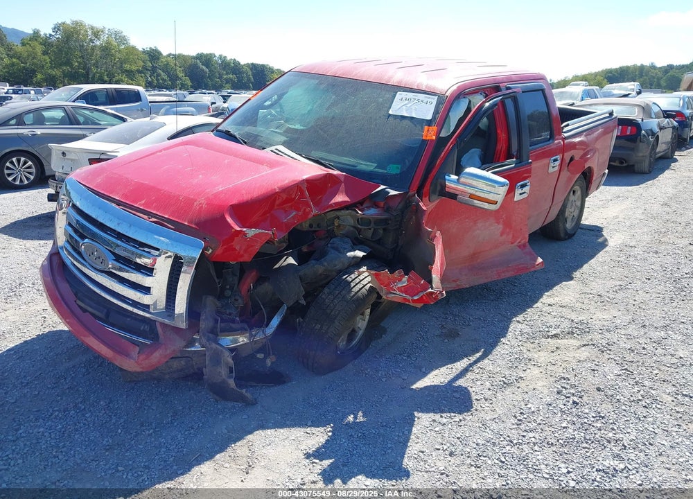 2010 FORD F-150 VIN: 1FTEW1C8XAFA69059