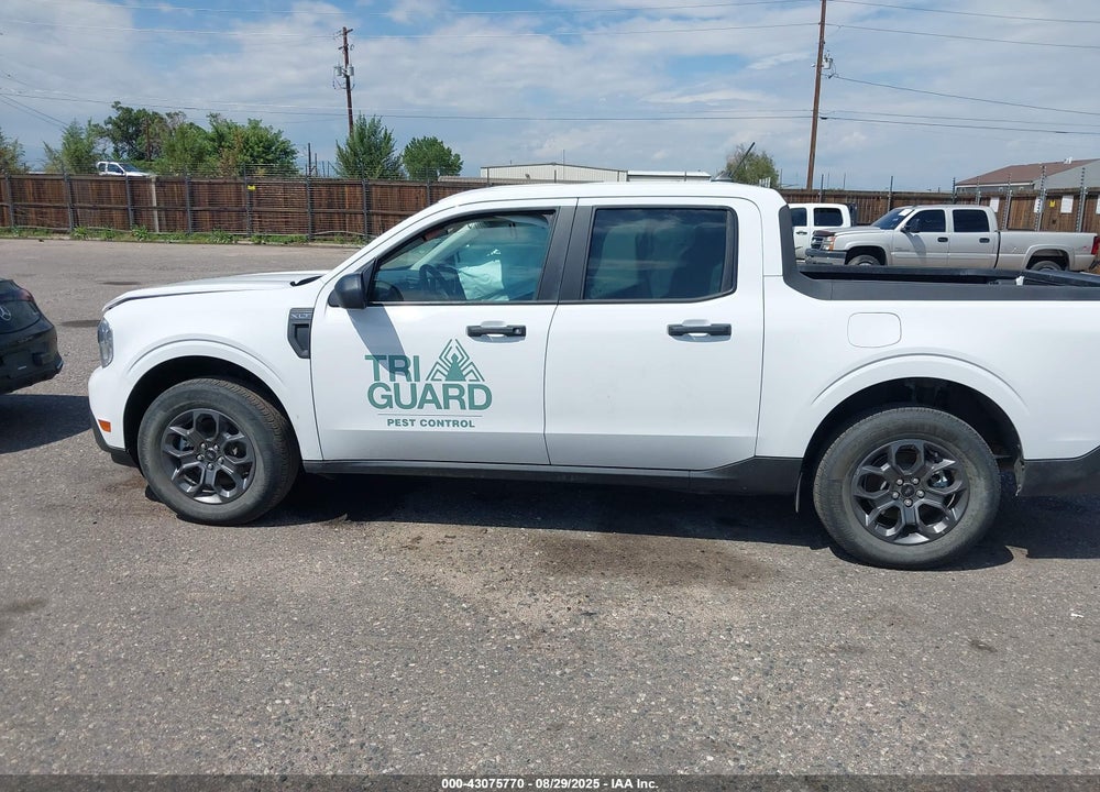 2024 FORD MAVERICK XLT VIN: 3FTTW8J98RRA65327