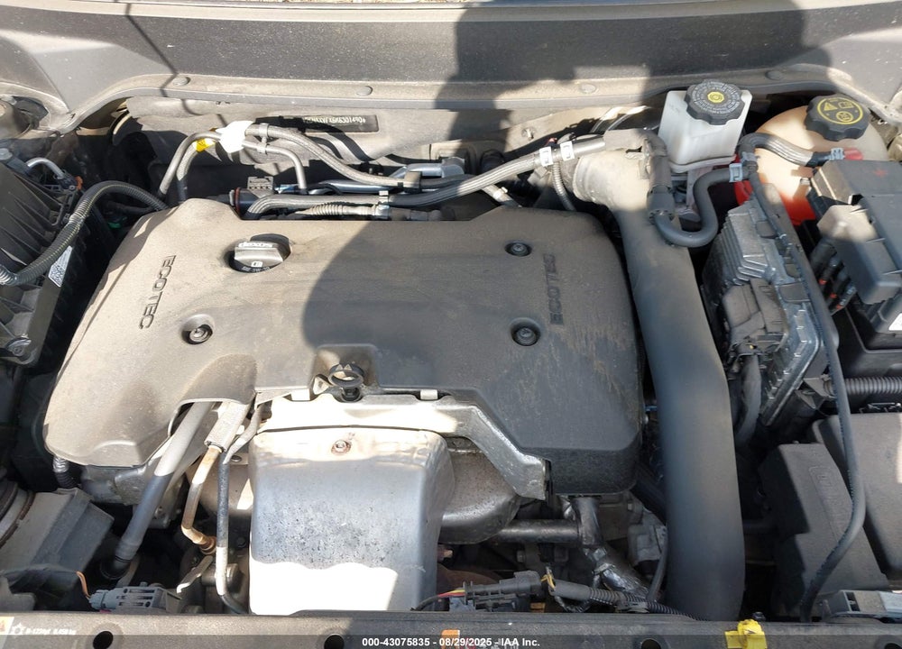 2019 CHEVROLET EQUINOX VIN: 2GNAXVEX6K6301490