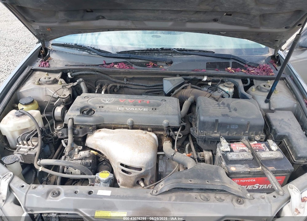 2006 TOYOTA CAMRY STD/ VIN: 4T1BE32K16U745847